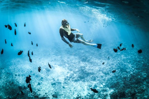 Où trouver les meilleures expériences de snorkeling dans les îles Maldives?